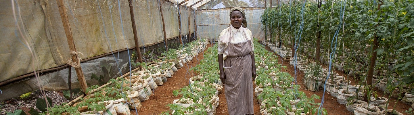 Alice Maina standing in the middle of her greenhouse | Greenhouse farmer | Gatundu, Kenya