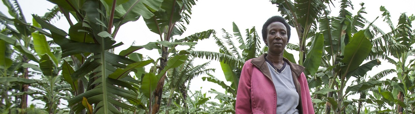 Marie Consolee | Chilli farmer | Rwanda