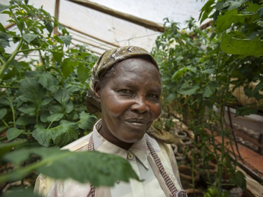 Alice Maina | Greenhouse farmer | Gatundu, Kenya