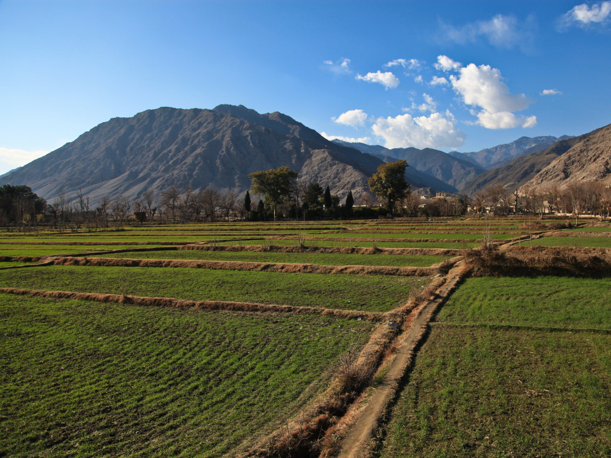 Hand in Hand Afghanistan appoints new Executive Director